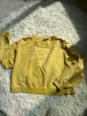 Newport News Chartreuse Cropped  Sweatshirt XL Cotton Boxy Top